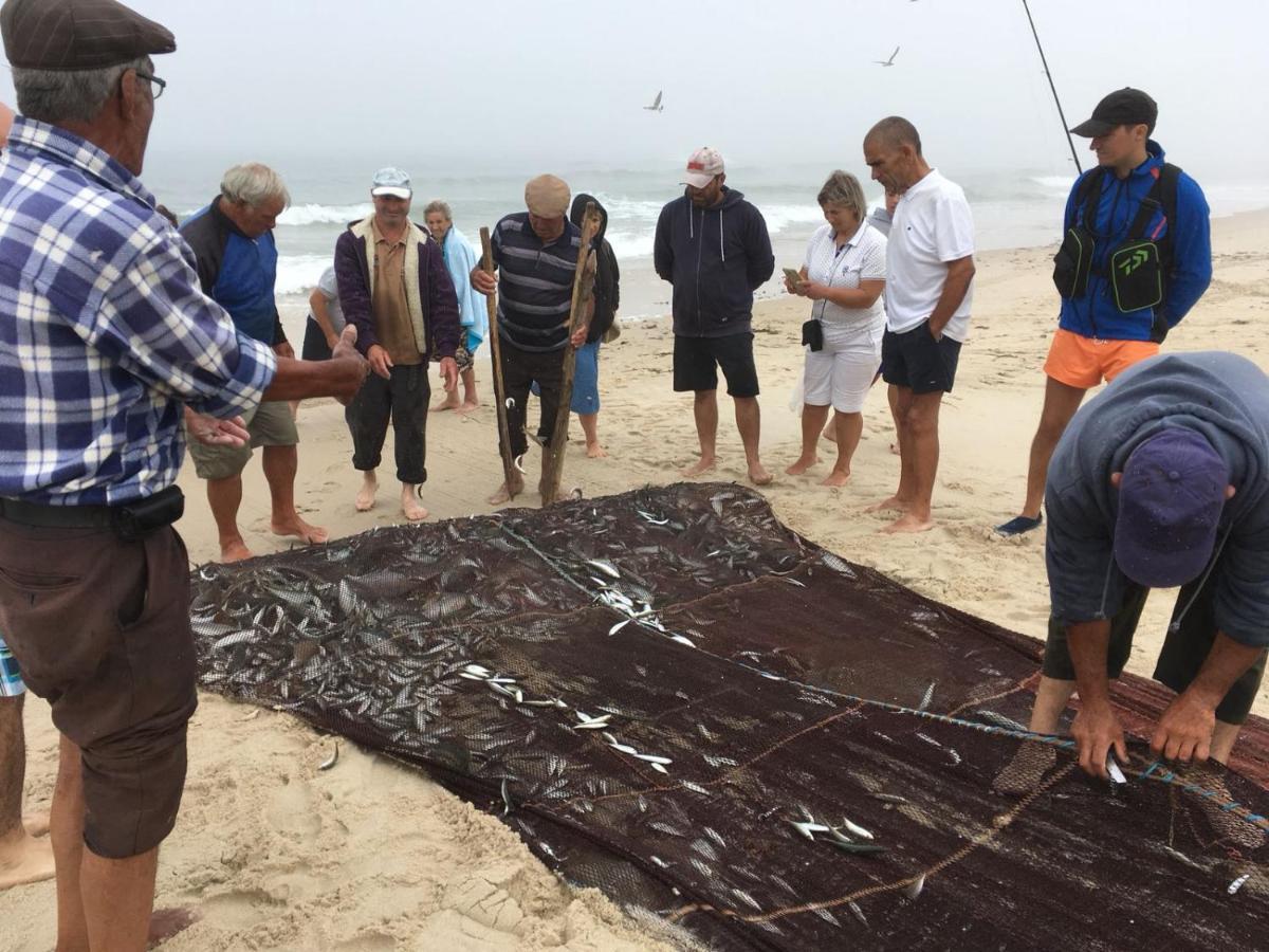 Moradia Proxima Da Praia Do Areinho, Na Ria, E Praia Dos Marretas أوفار المظهر الخارجي الصورة